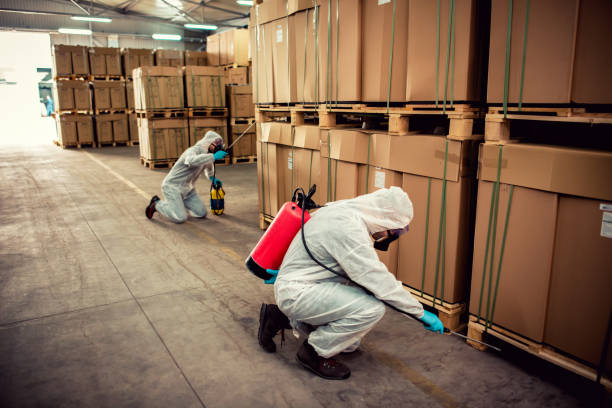 Best Emergency Pest Control  in Fallston, MD
